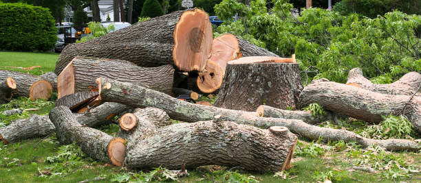 Leaf Removal in Garden City, MO